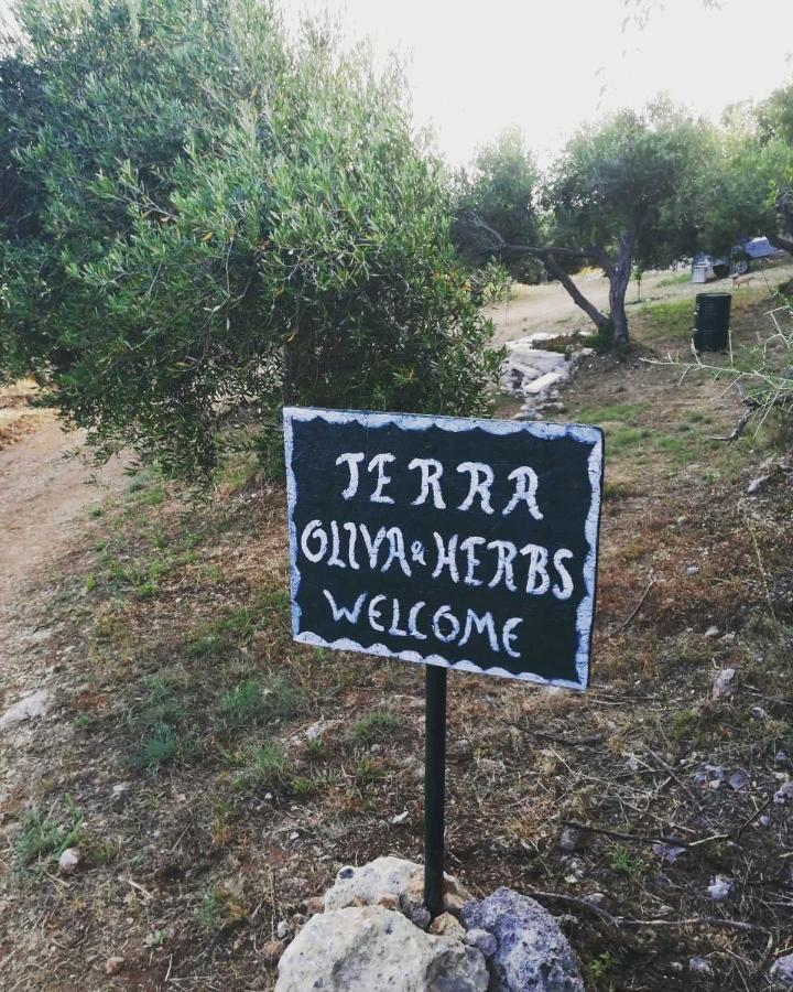 Terraoliva&Herbs Vátos Dış mekan fotoğraf