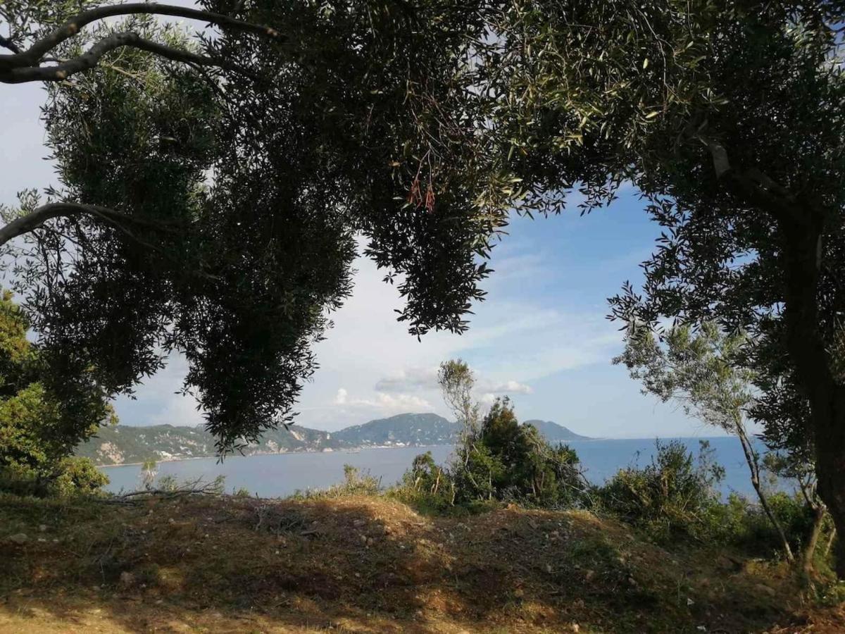 Terraoliva&Herbs Vátos Dış mekan fotoğraf