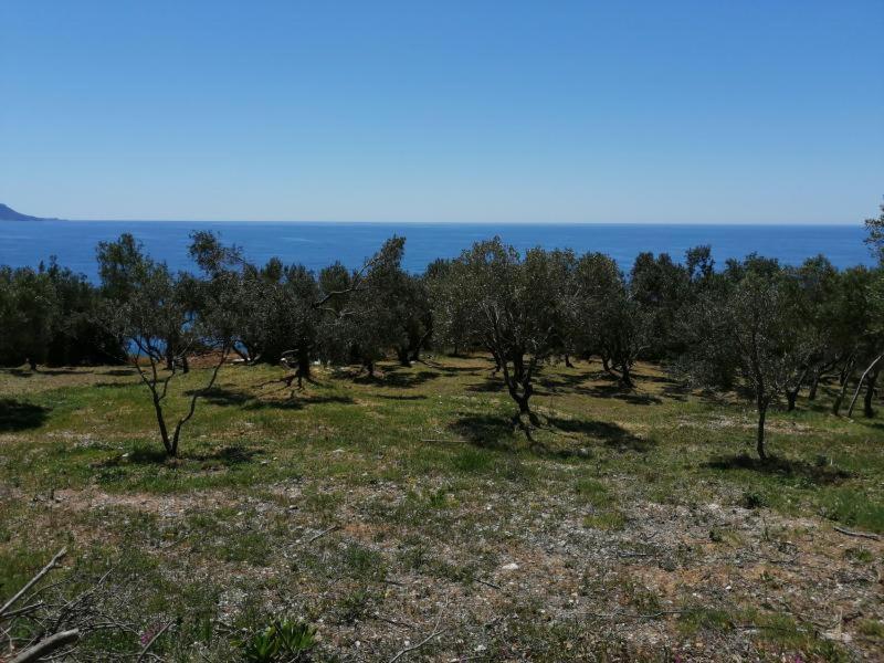 Terraoliva&Herbs Vátos Dış mekan fotoğraf