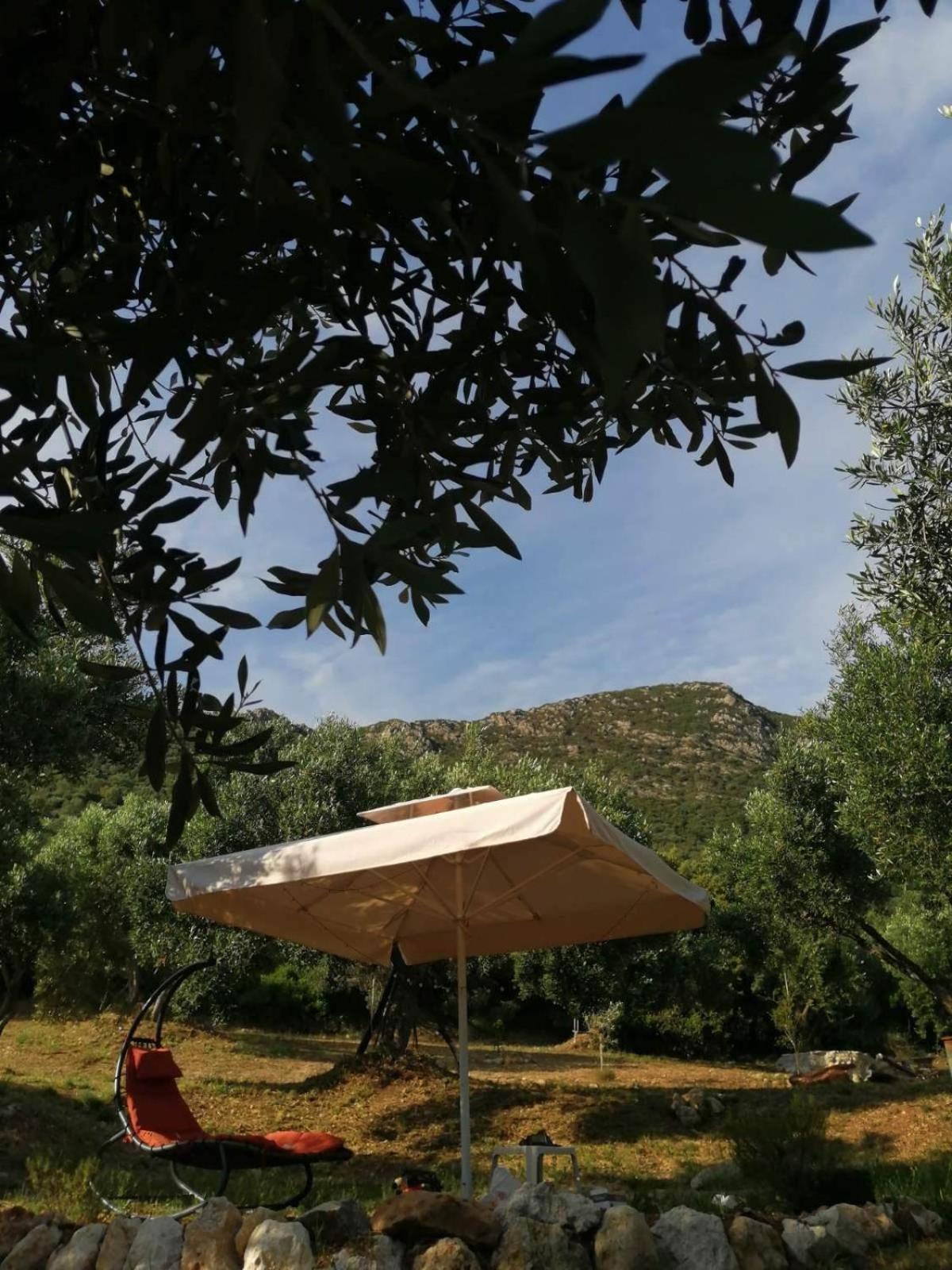 Terraoliva&Herbs Vátos Dış mekan fotoğraf