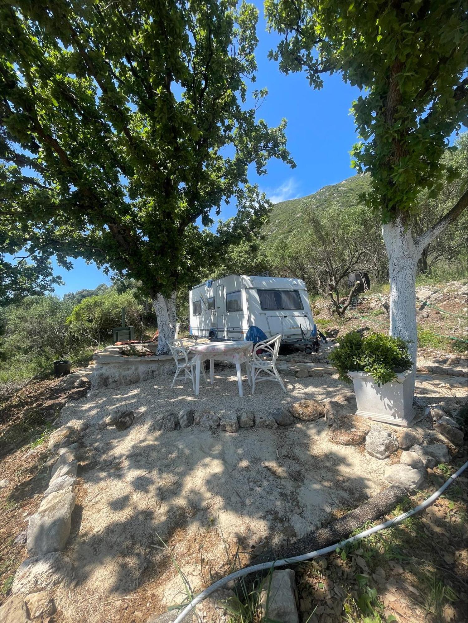 Terraoliva&Herbs Vátos Dış mekan fotoğraf