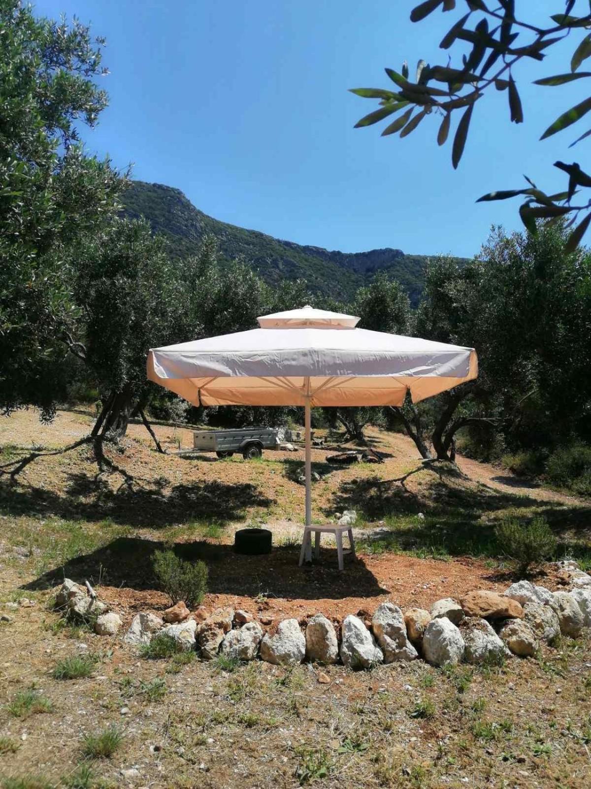 Terraoliva&Herbs Vátos Dış mekan fotoğraf